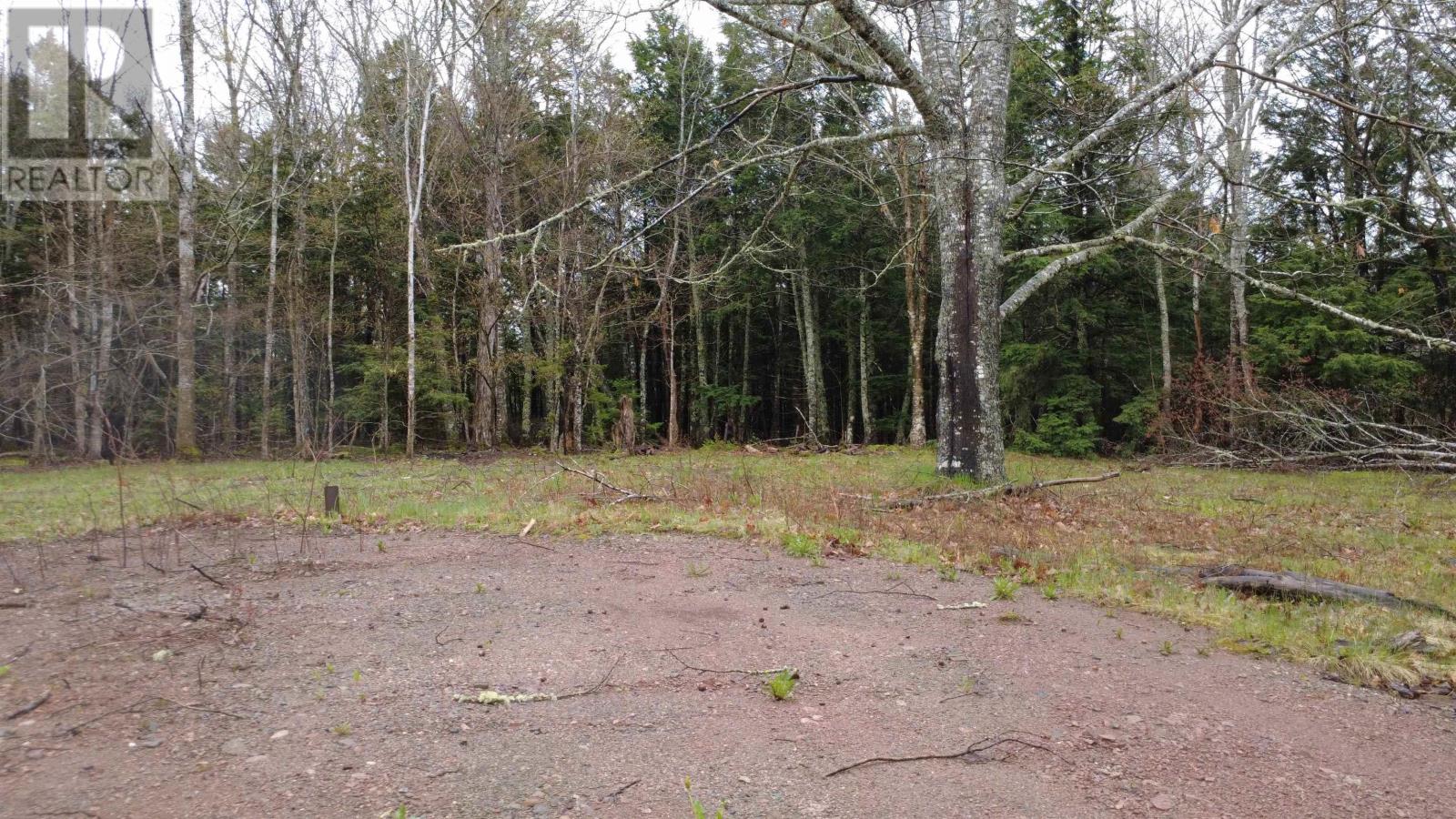 Lot 142 Condon Road, Scotsburn, Nova Scotia  B0K 1R0 - Photo 23 - 202611136