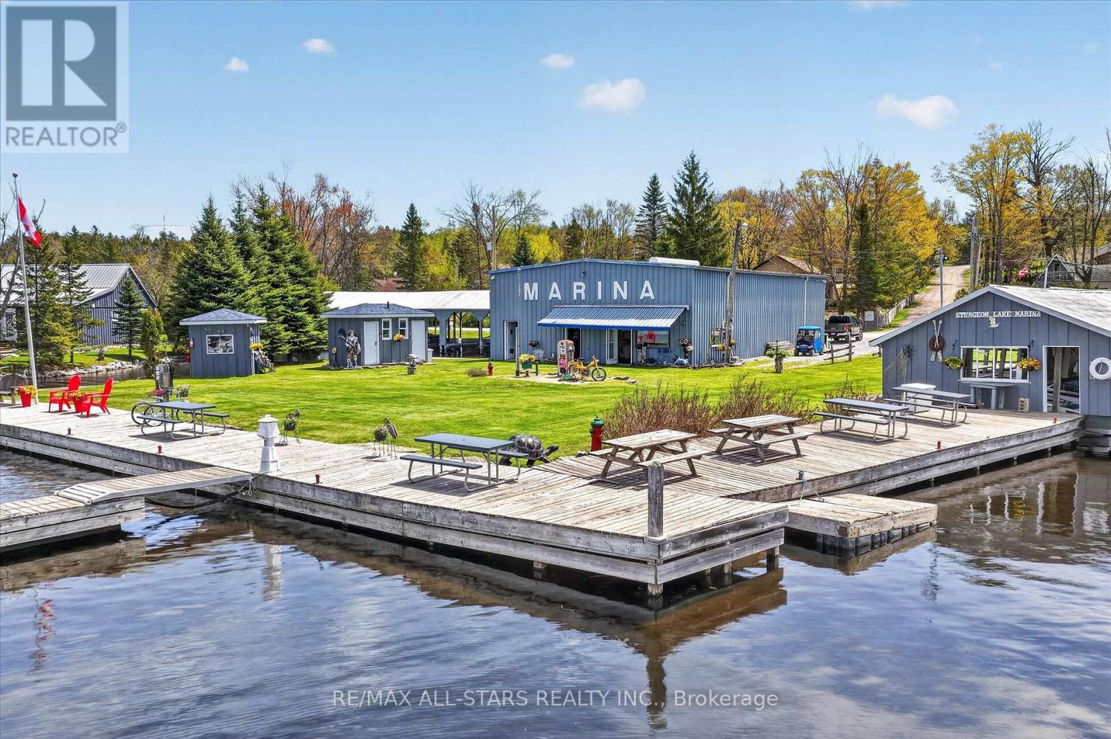 9 Elder Street, Kawartha Lakes, Ontario  K0M 1L0 - Photo 23 - X13137486