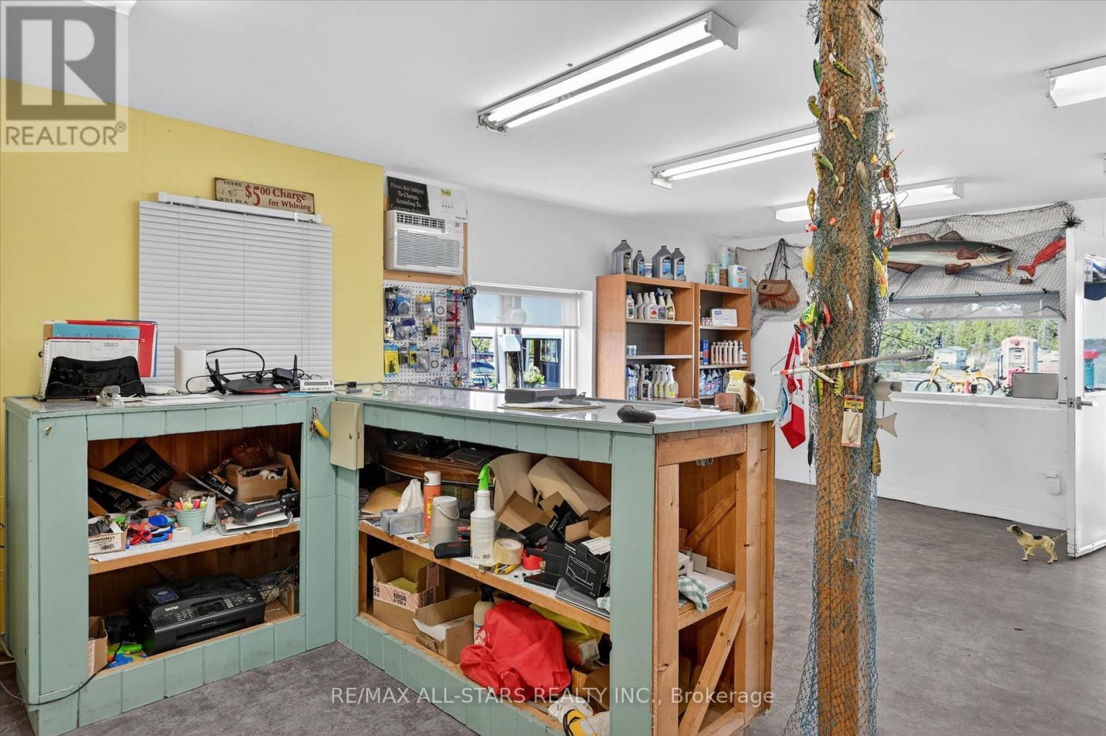 9 Elder Street, Kawartha Lakes, Ontario  K0M 1L0 - Photo 44 - X13137486