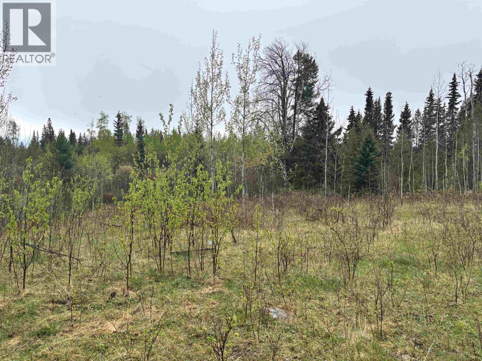 2954 Spout Lake Road, Lac La Hache, British Columbia  V0K 1T0 - Photo 13 - R3124487