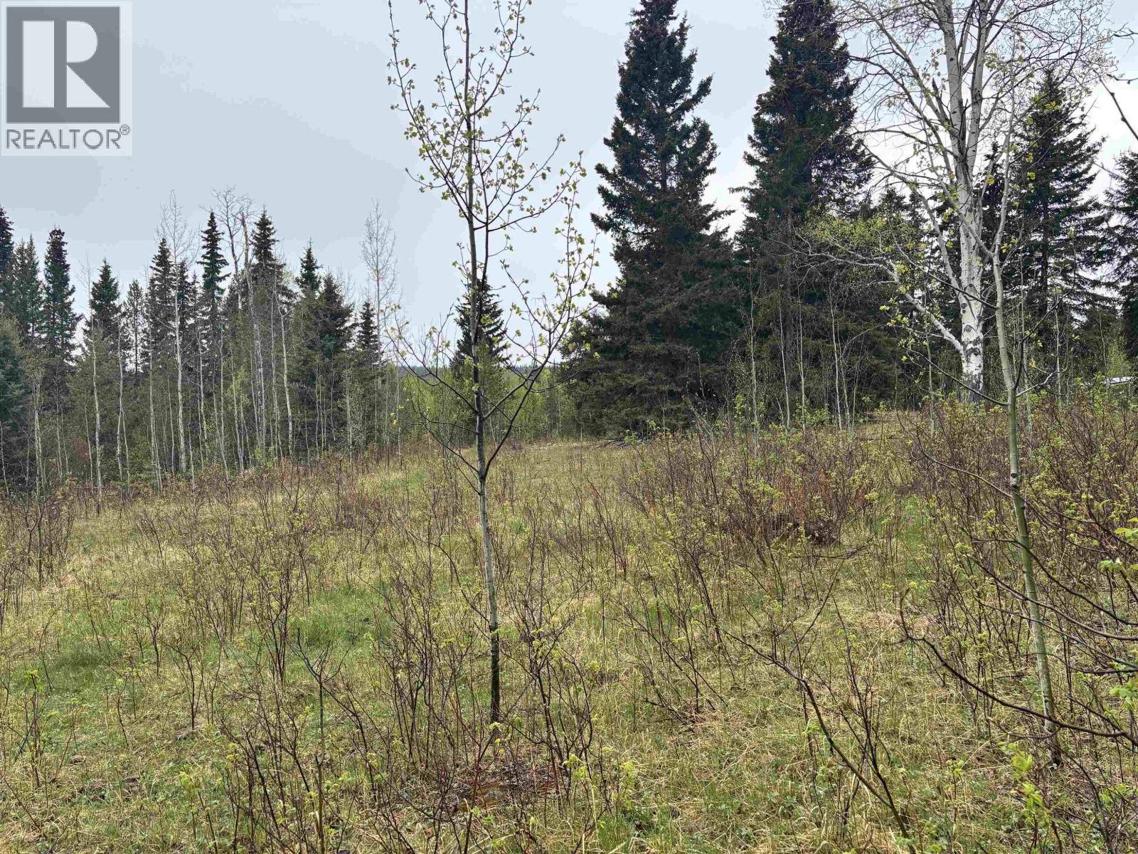 2954 Spout Lake Road, Lac La Hache, British Columbia  V0K 1T0 - Photo 14 - R3124487