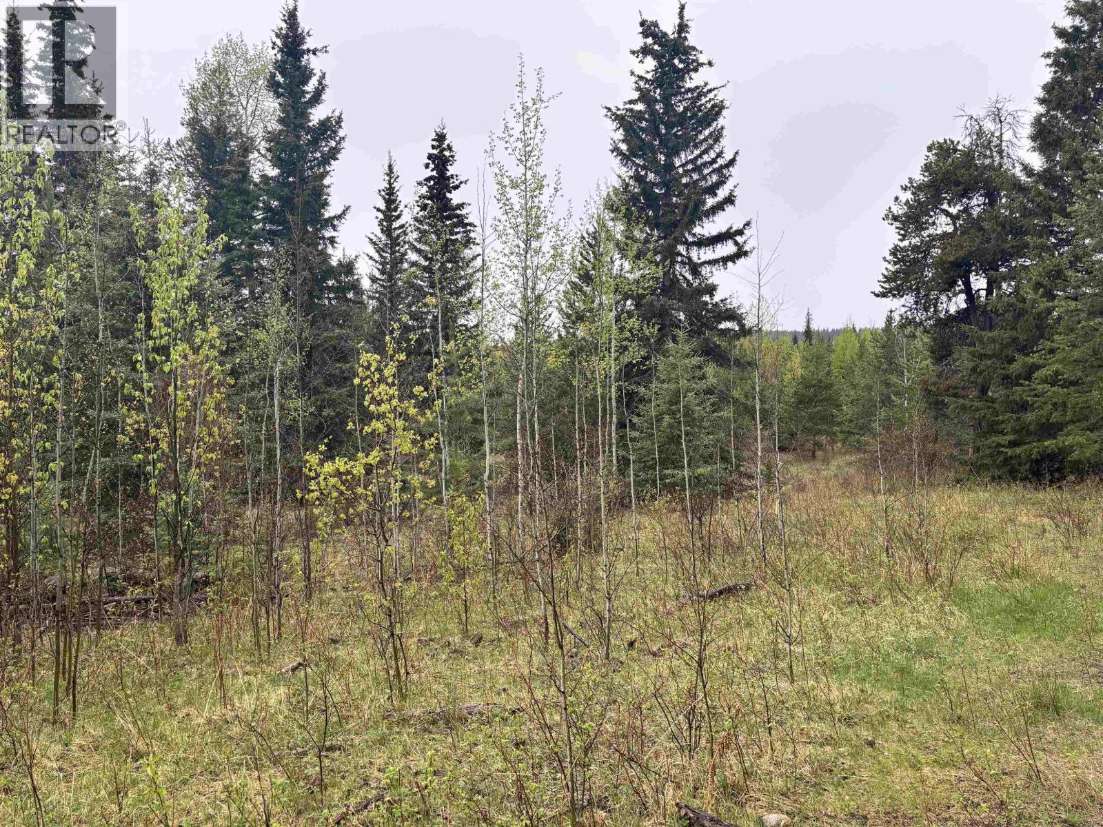 2954 Spout Lake Road, Lac La Hache, British Columbia  V0K 1T0 - Photo 9 - R3124487