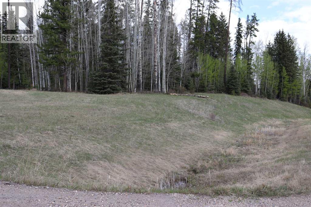 48, 16511 Township Road 532a, Rural Yellowhead County, Alberta  T7E 3A6 - Photo 1 - A2292065