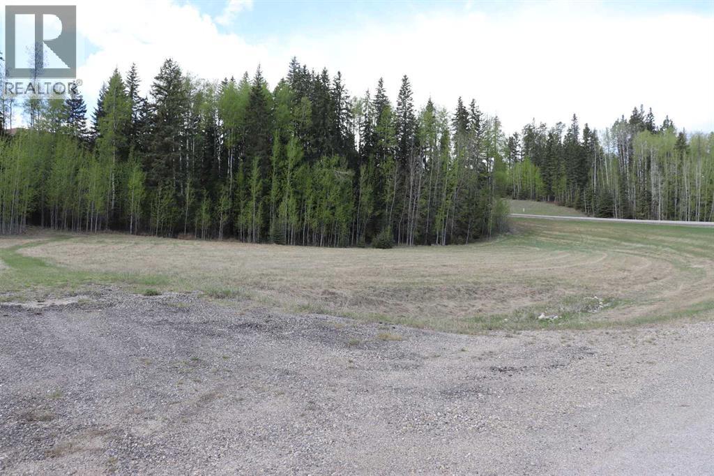 22, 16511 Township Road 532a, Rural Yellowhead County, Alberta  T7E 3A6 - Photo 3 - A2292102