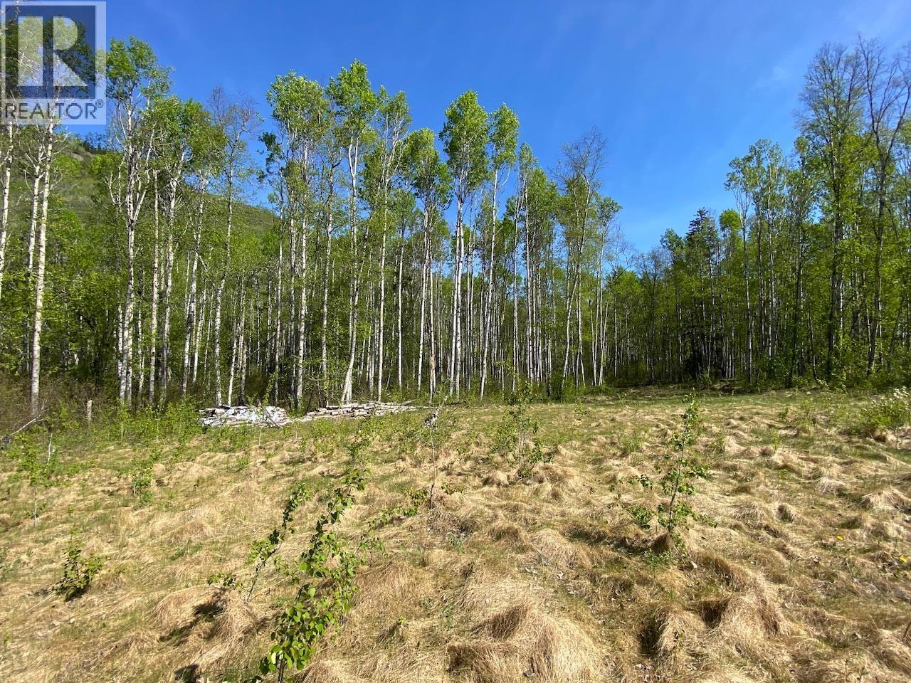 6048 Six Mile Road, Hazelton, British Columbia V0J 1Y1 - Photo 2 - R3122245