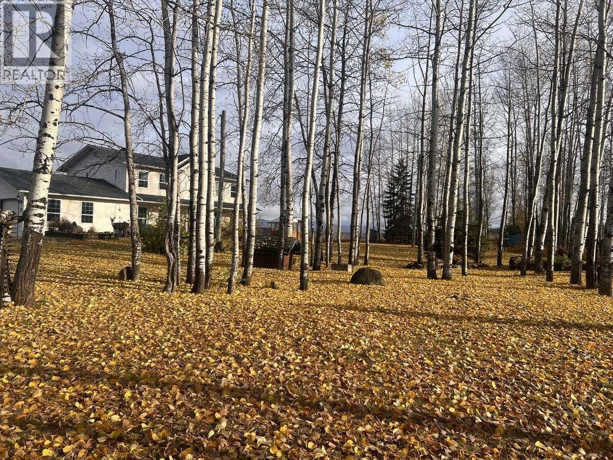 2654 Stenset Road, Smithers, British Columbia  V0J 2N4 - Photo 11 - R3124501