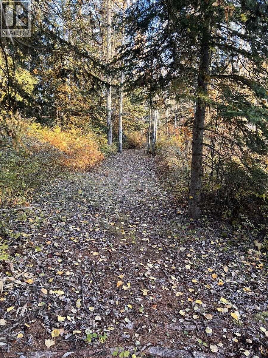 2654 Stenset Road, Smithers, British Columbia  V0J 2N4 - Photo 25 - R3124501