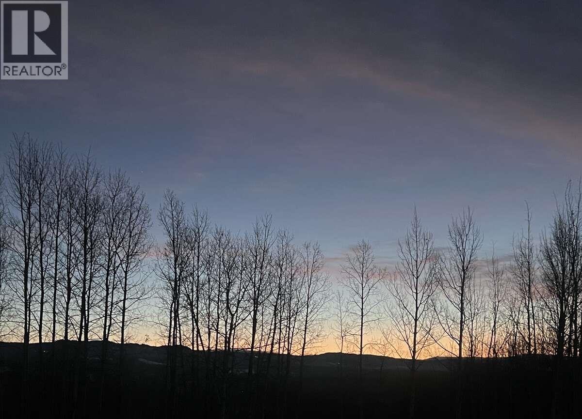 2654 Stenset Road, Smithers, British Columbia  V0J 2N4 - Photo 29 - R3124501