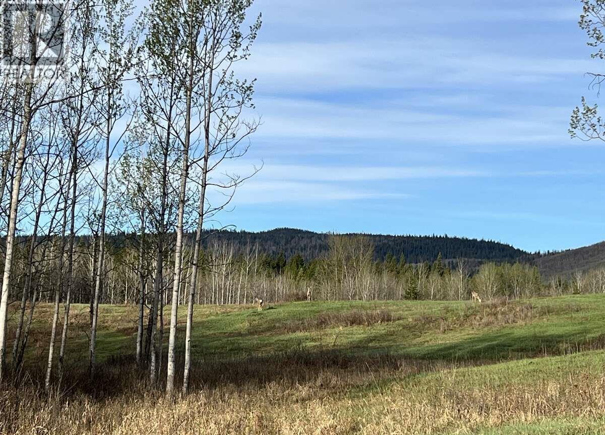 2654 Stenset Road, Smithers, British Columbia  V0J 2N4 - Photo 30 - R3124501