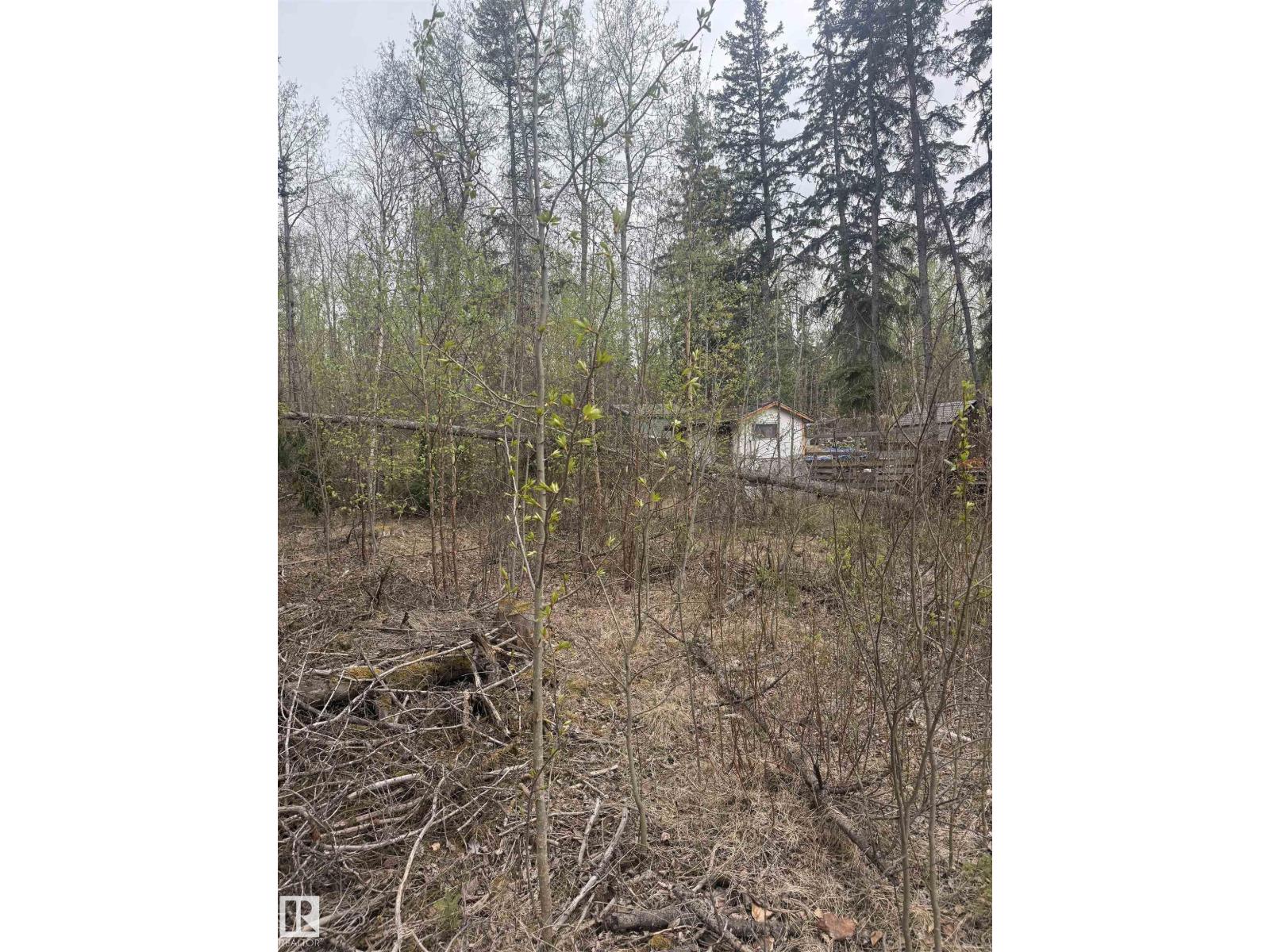 445 Lakeview Dr, Rural Lac Ste. Anne County, Alberta  T0E 1V0 - Photo 5 - E4488218