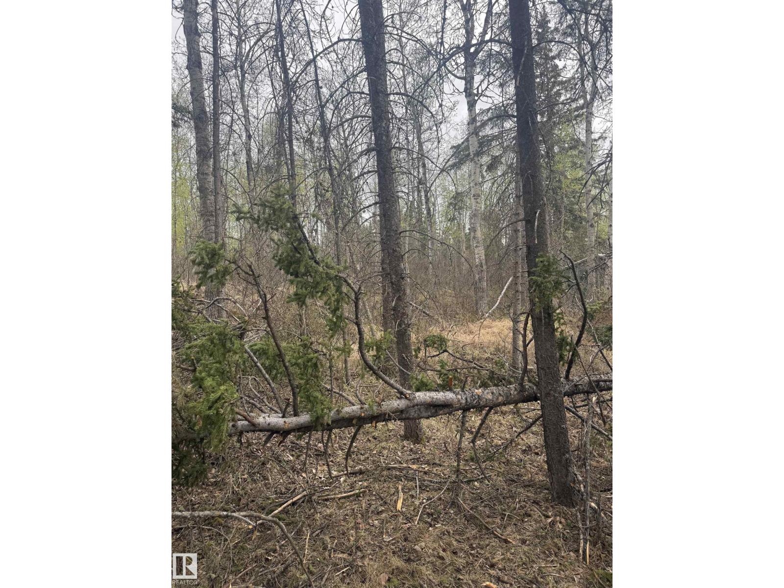 445 Lakeview Dr, Rural Lac Ste. Anne County, Alberta  T0E 1V0 - Photo 7 - E4488218