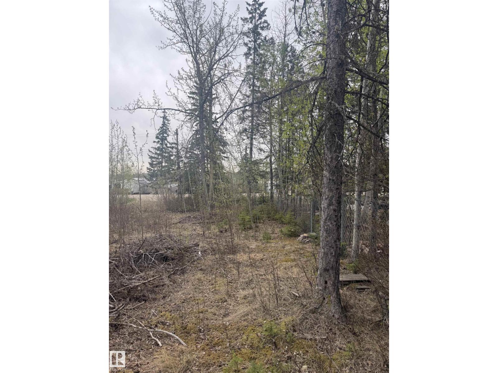 445 Lakeview Dr, Rural Lac Ste. Anne County, Alberta  T0E 1V0 - Photo 8 - E4488218