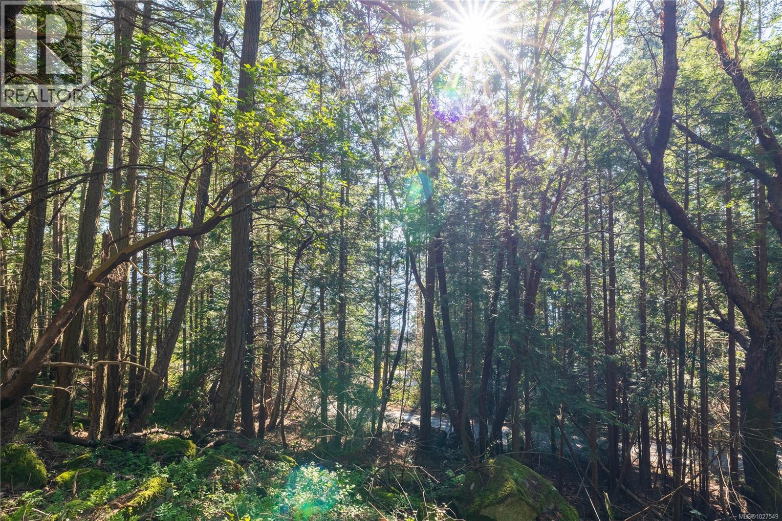 Lot 1 Old Scott Rd, Salt Spring, British Columbia  V8K 2L6 - Photo 11 - 1027549