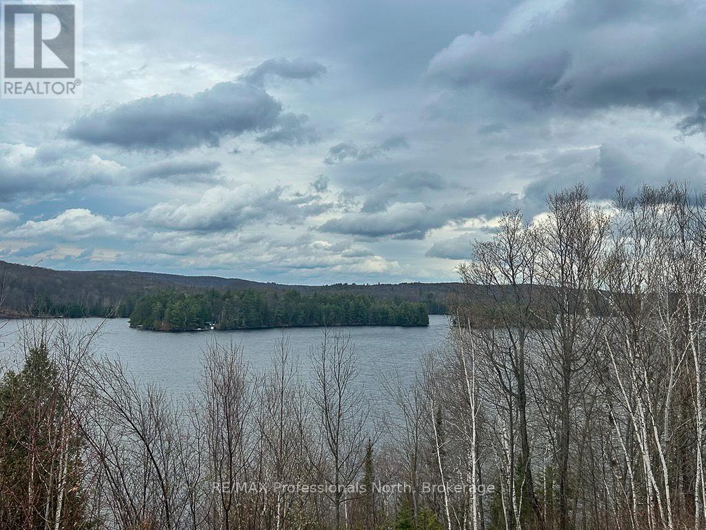 122 Millionaires Walk, Hastings Highlands, Ontario  K0L 1C0 - Photo 38 - X13132554