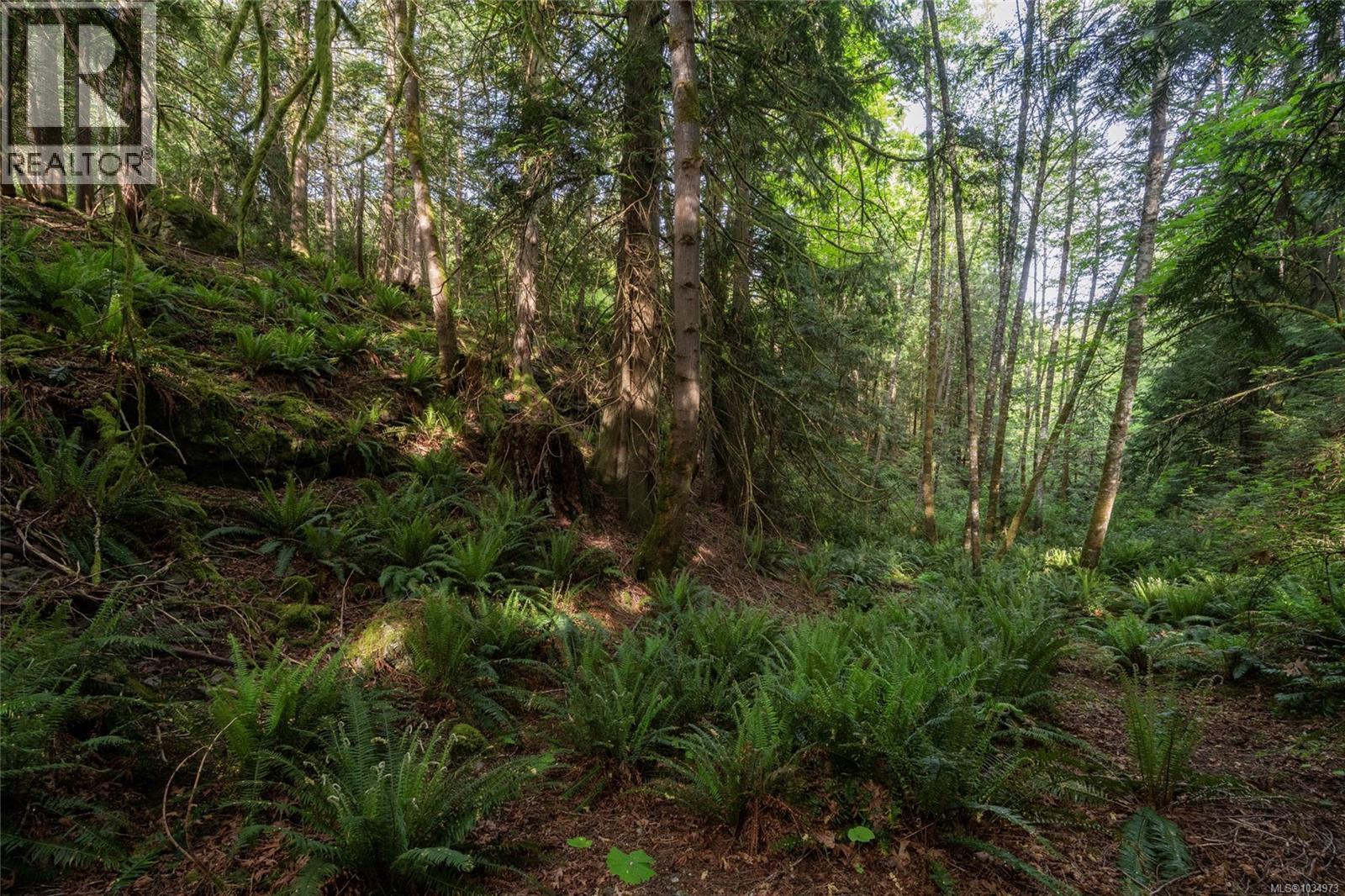 5924 Old West Saanich Rd, Saanich, British Columbia  V9E 2H1 - Photo 37 - 1034973