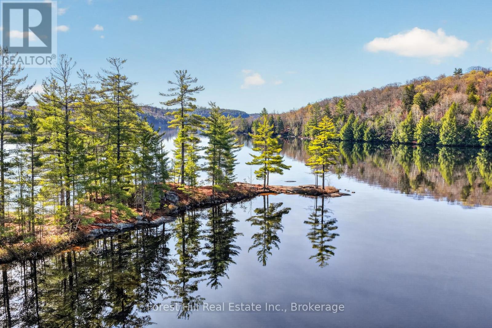 10835 Raven Lake West Shore Township, Algonquin Highlands, Ontario P0A 1E0 - Photo 10 - X13137984