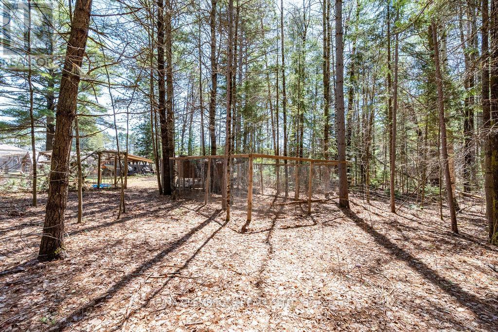 32323 17 Highway, Laurentian Hills, Ontario  K0J 1P0 - Photo 38 - X13138112