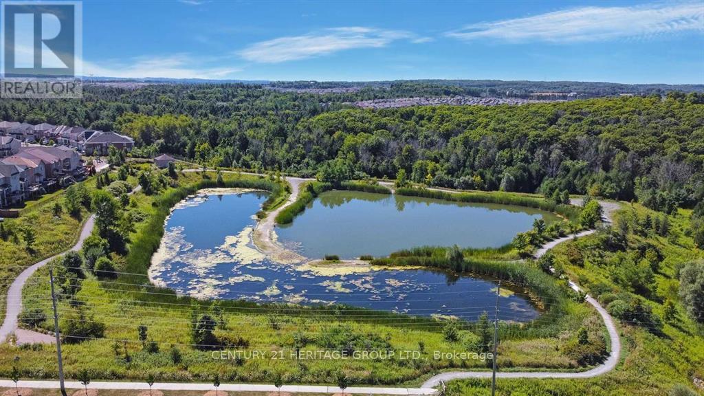 Basement Unit - 16 Old Field Crescent, East Gwillimbury, Ontario  L9N 0A3 - Photo 14 - N13103704