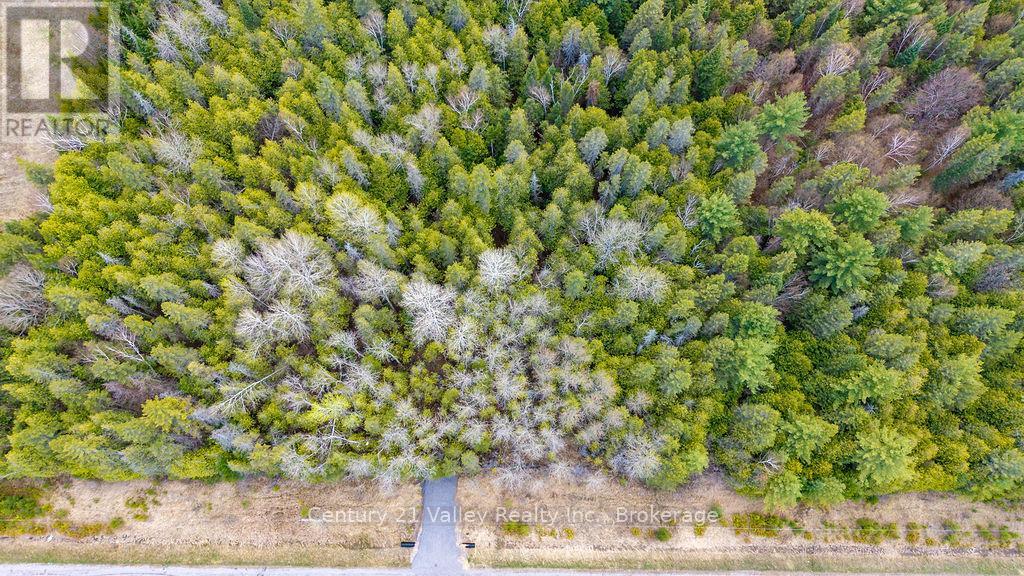 0 Highway 41 Highway, Bonnechere Valley, Ontario K0J 1T0 - Photo 1 - X13138154