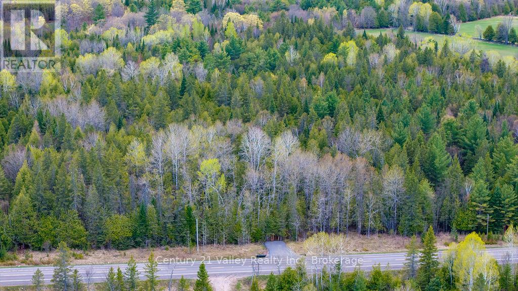 0 Highway 41 Highway, Bonnechere Valley, Ontario K0J 1T0 - Photo 8 - X13138154