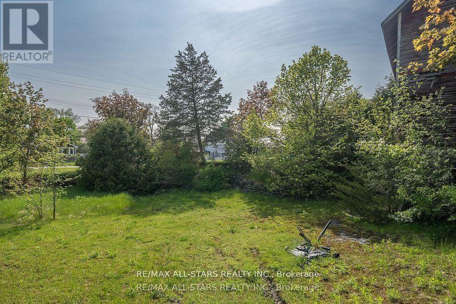 61 Francis Street E, Kawartha Lakes, Ontario  K0M 1N0 - Photo 34 - X13138304