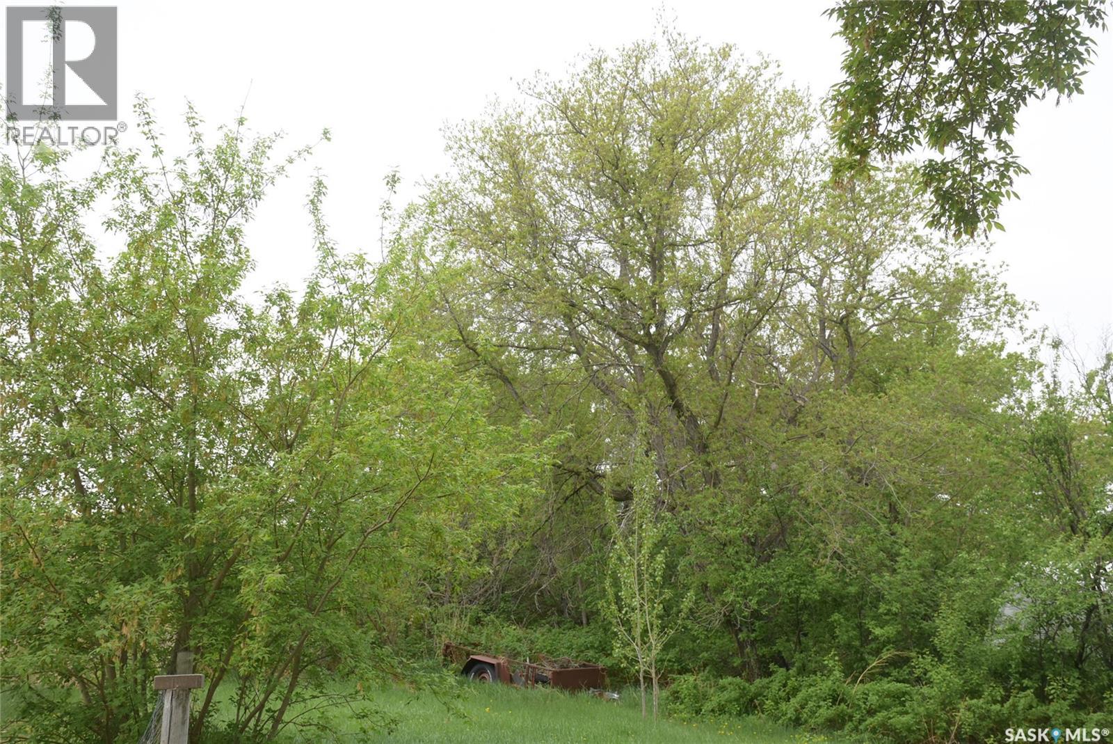 47 Taylor Street, North Qu'appelle Rm No. 187, Saskatchewan  S0G 1S0 - Photo 2 - SK036221