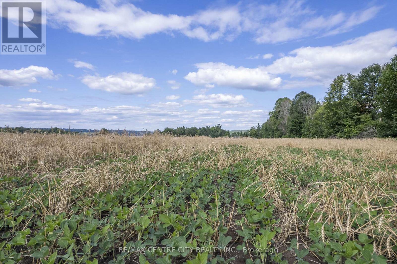 Pt Lts 38 & 39 Concession 9 Road, Whitewater Region, Ontario  K0J 1K0 - Photo 22 - X13138368