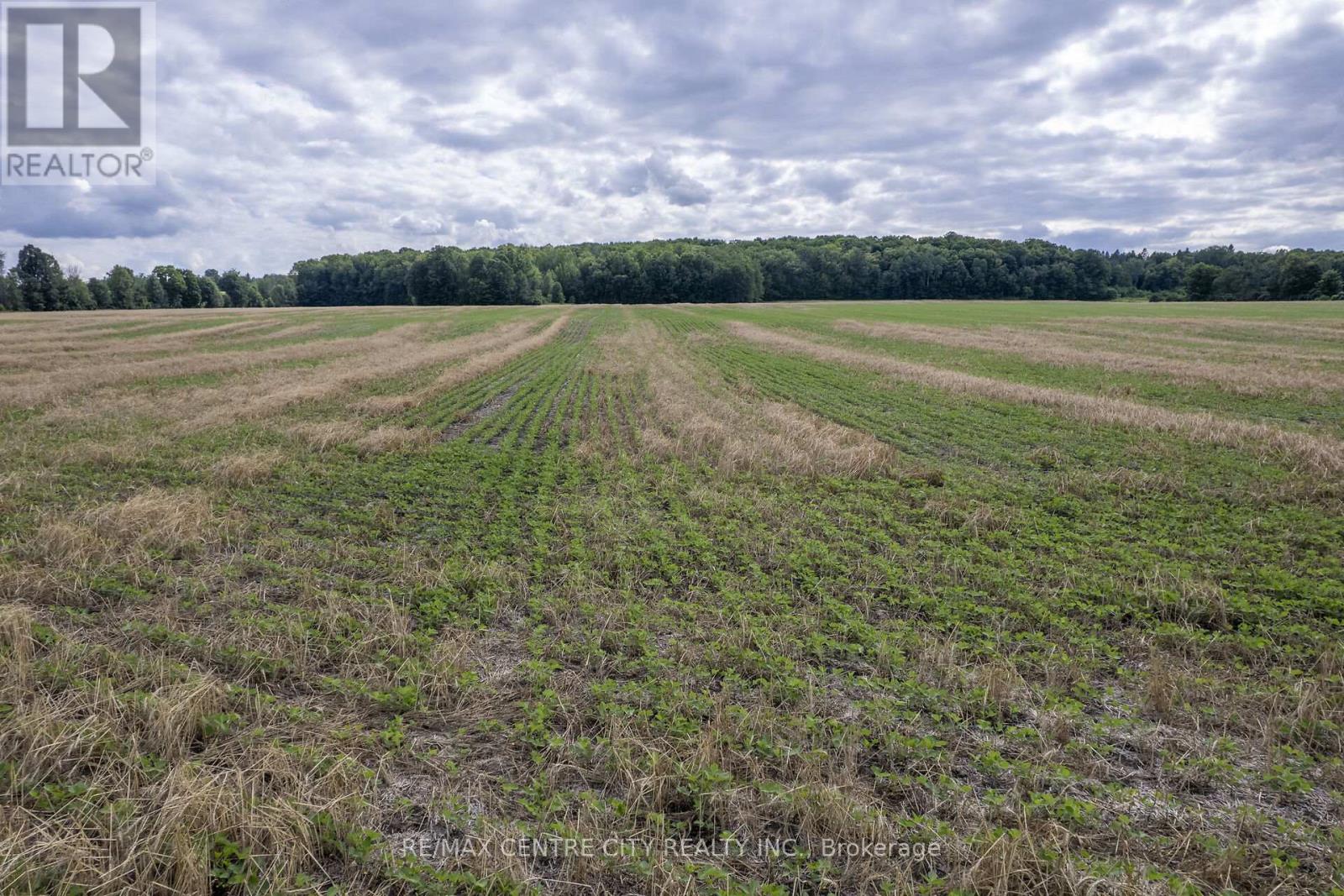 Pt Lts 38 & 39 Concession 9 Road, Whitewater Region, Ontario  K0J 1K0 - Photo 33 - X13138368
