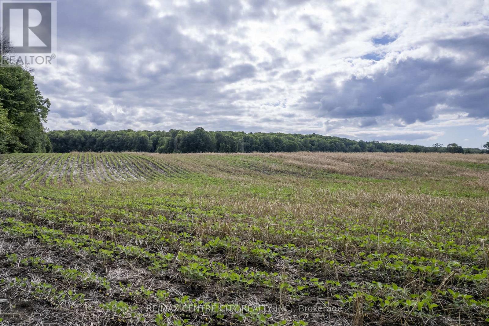 Pt Lts 38 & 39 Concession 9 Road, Whitewater Region, Ontario  K0J 1K0 - Photo 28 - X13138370