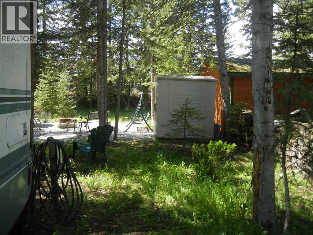 203, 200 4 Avenue SW, Sundre, Alberta  T0M 1X0 - Photo 17 - A2311563