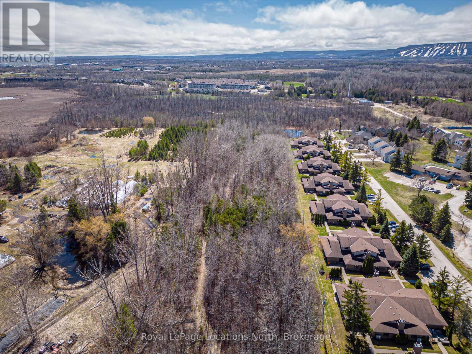 11589 26 Highway, Collingwood, Ontario  L9Y 5E7 - Photo 13 - S13138418