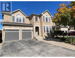 BASEMENT - 150 MARIA ANTONIA ROAD, Vaughan, Ontario