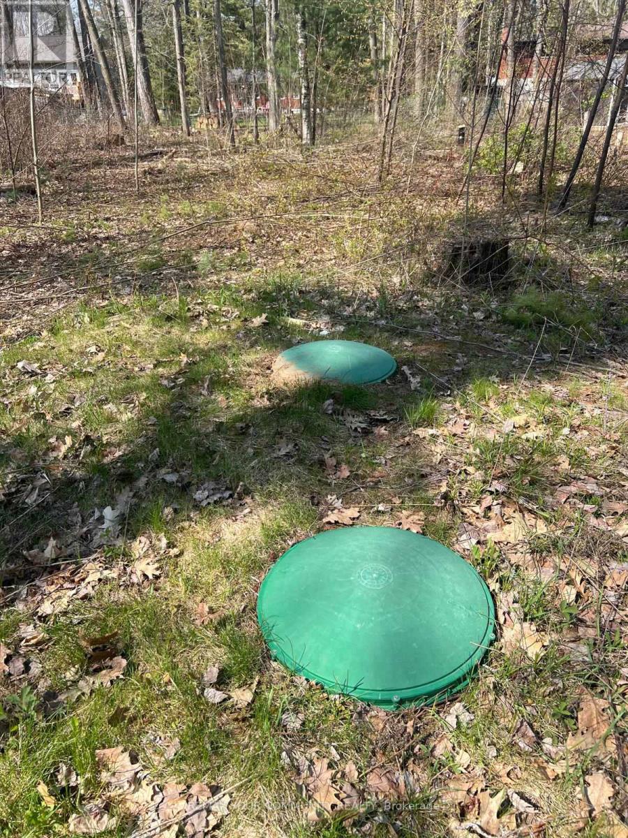 Lot 12 Stanley Road, Kawartha Lakes, Ontario  K0M 2T0 - Photo 1 - X13138476