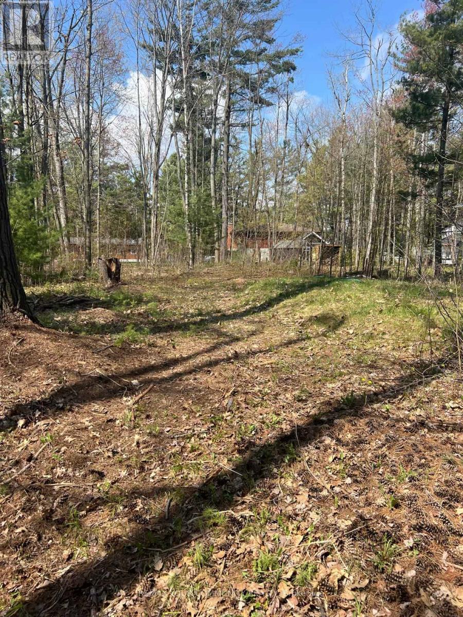 Lot 12 Stanley Road, Kawartha Lakes, Ontario  K0M 2T0 - Photo 10 - X13138476