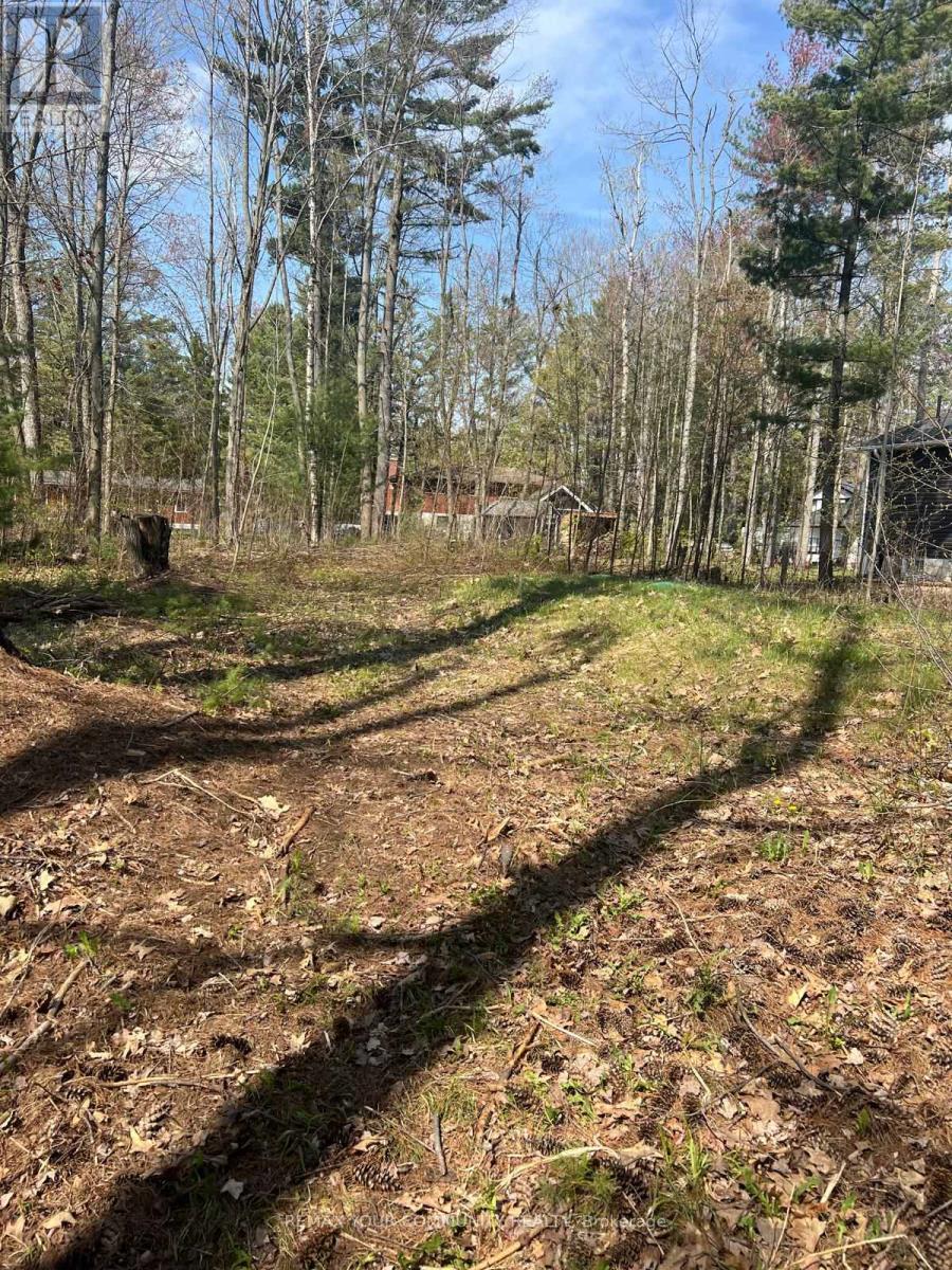 Lot 12 Stanley Road, Kawartha Lakes, Ontario  K0M 2T0 - Photo 3 - X13138476