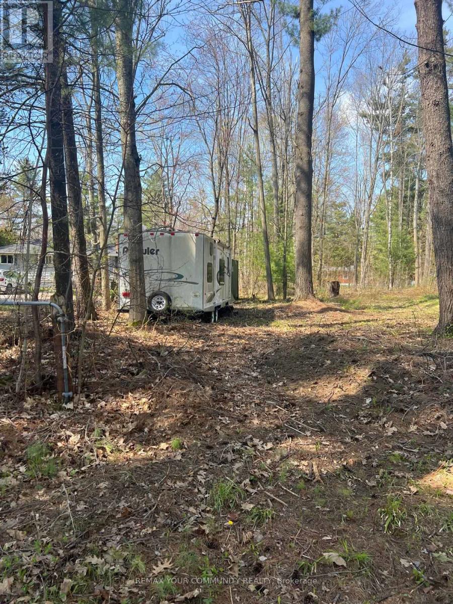 Lot 12 Stanley Road, Kawartha Lakes, Ontario  K0M 2T0 - Photo 4 - X13138476