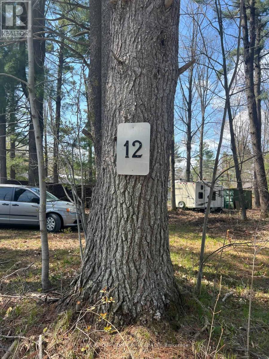 Lot 12 Stanley Road, Kawartha Lakes, Ontario  K0M 2T0 - Photo 5 - X13138476