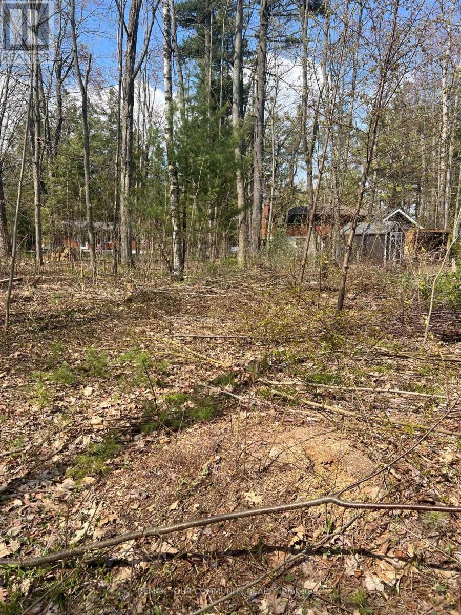 Lot 12 Stanley Road, Kawartha Lakes, Ontario  K0M 2T0 - Photo 6 - X13138476