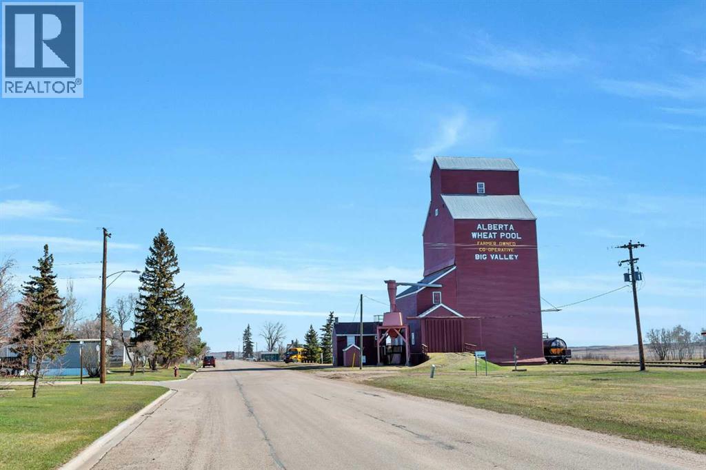 48 Main Street E, Big Valley, Alberta  T0J 0C9 - Photo 46 - A2210842