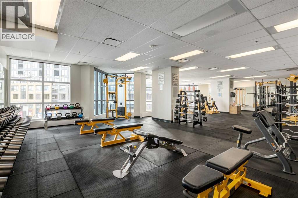 2509, 225 11 Avenue SE, Calgary, Alberta  T2G 0G3 - Photo 31 - A2285372