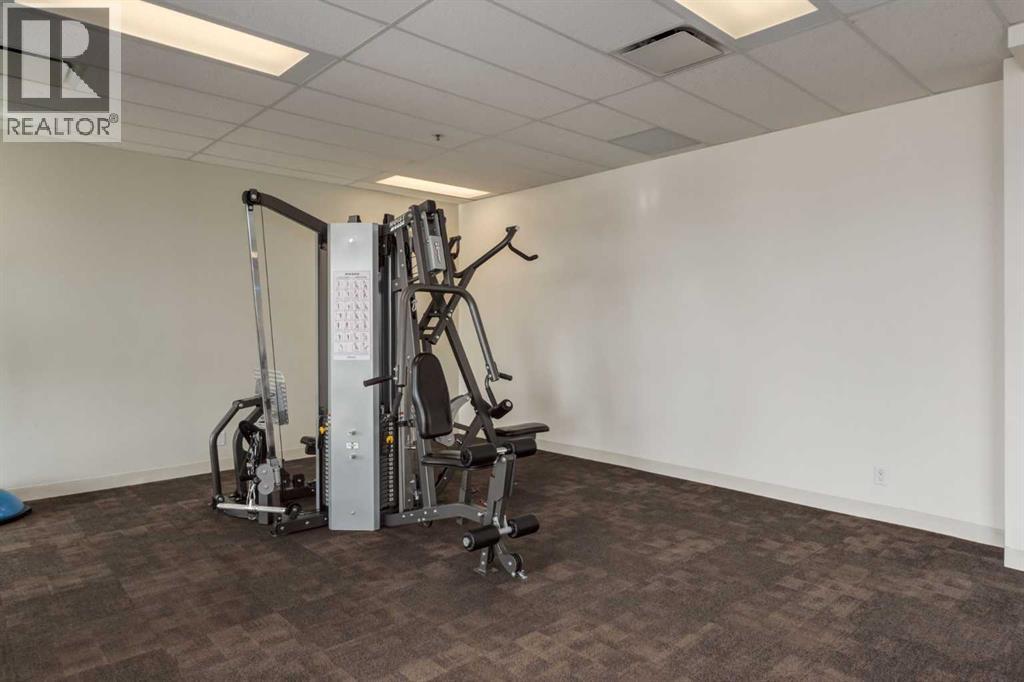 2509, 225 11 Avenue SE, Calgary, Alberta  T2G 0G3 - Photo 33 - A2285372