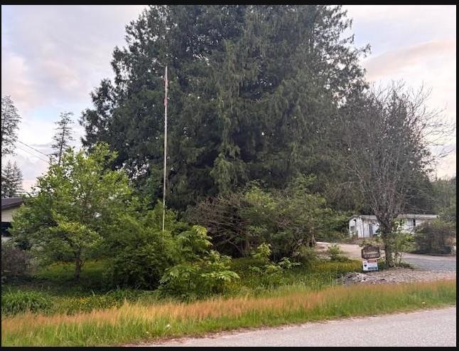43778 Watkins Road, Mission, British Columbia  V0M 1N0 - Photo 7 - R3124547