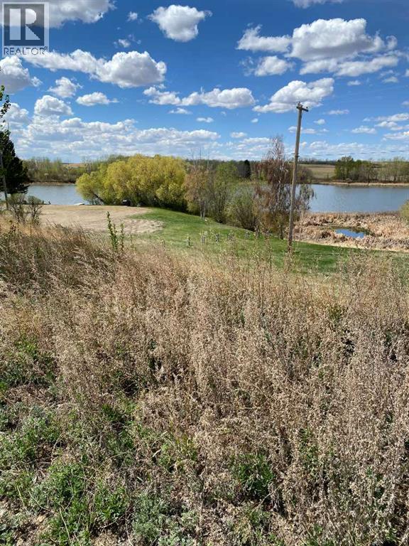 4816 50 Street, Alix, Alberta  T0C 0B0 - Photo 9 - A2308327