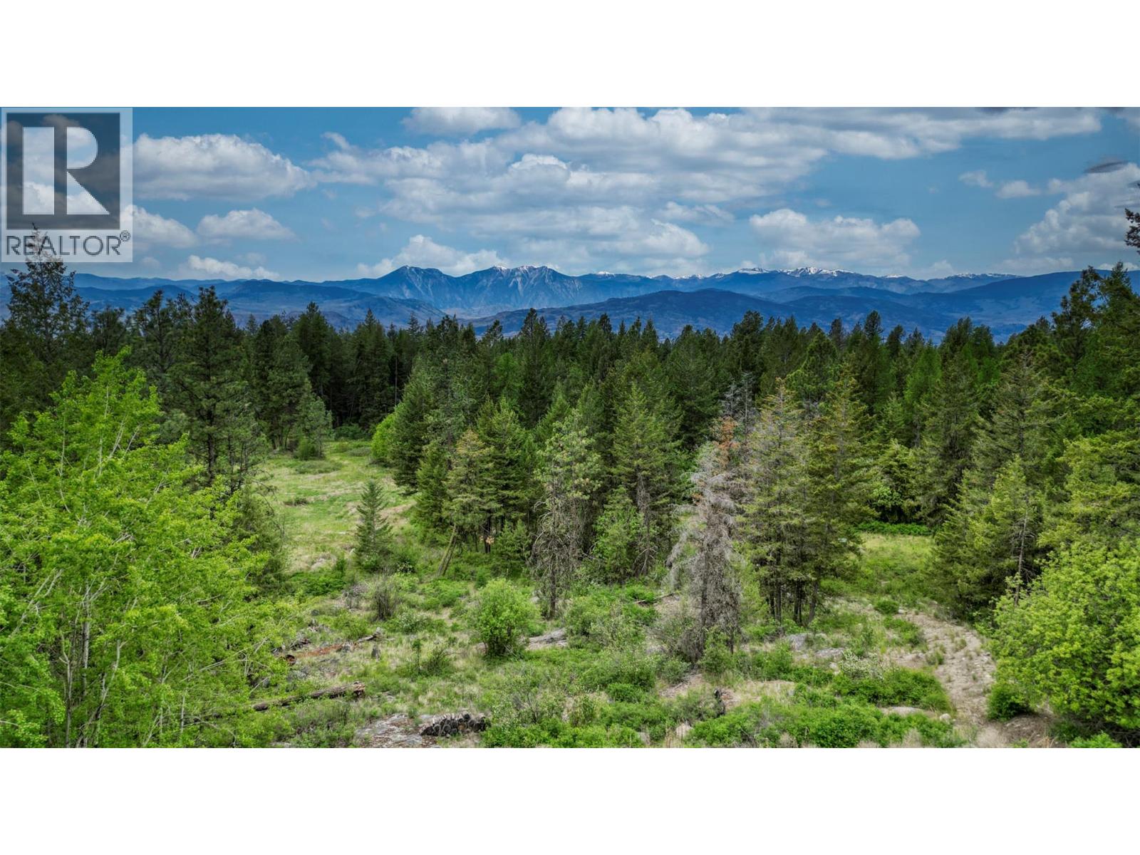 100 Bullmoose Court, Osoyoos, British Columbia  V0H 1V6 - Photo 8 - 10383633