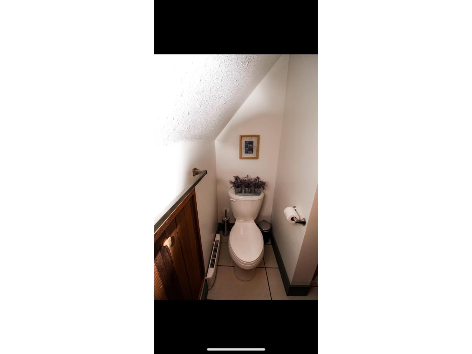 3 20668 Edelweiss Drive, Mission, British Columbia  V0M 1A1 - Photo 27 - R3124341