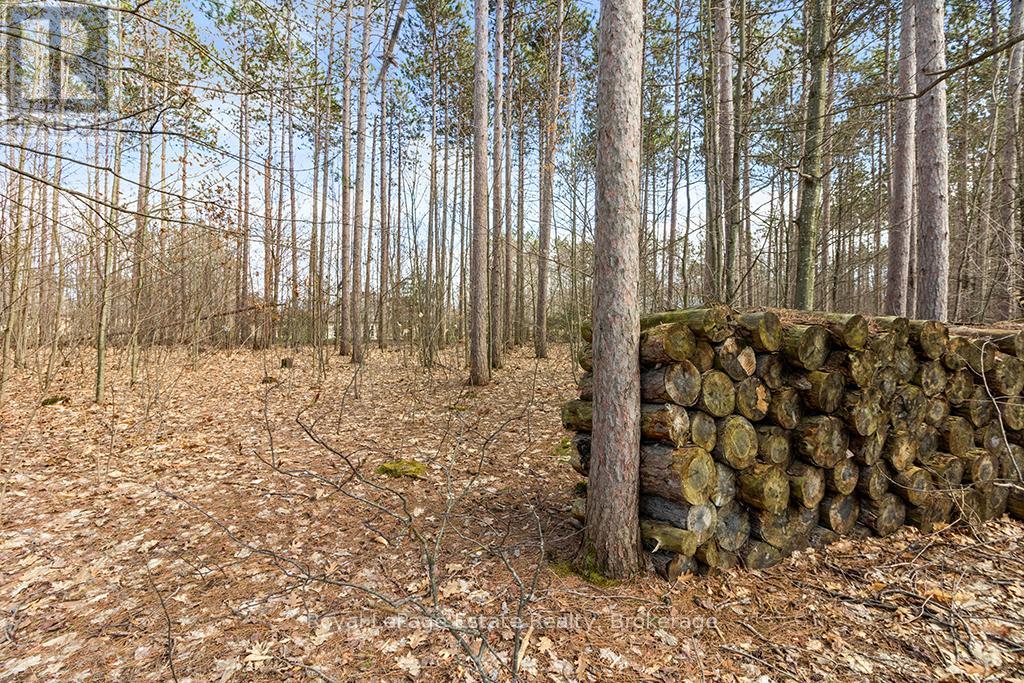 38 Copeland Creek Drive, Tiny, Ontario L9M 0M3 - Photo 24 - S13138816