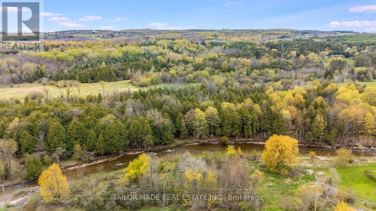 61 George Street, Clearview (Creemore), Ontario  L0M 1G0 - Photo 45 - S13138846
