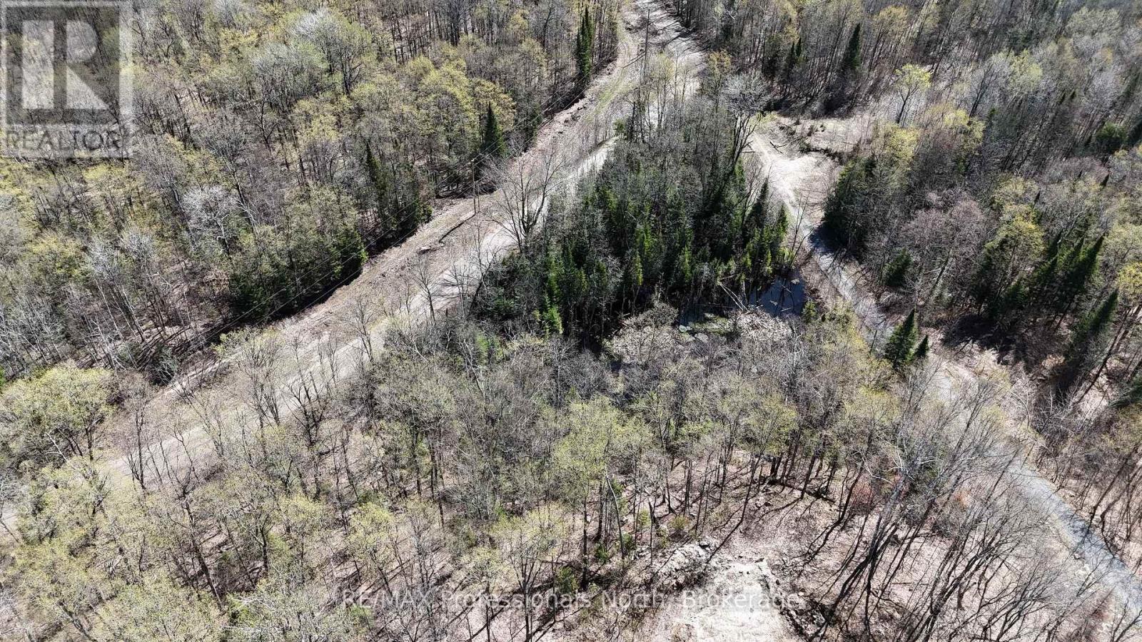 1199 Cedar Lake Road, Highlands East, Ontario  K0L 3C0 - Photo 10 - X13138876