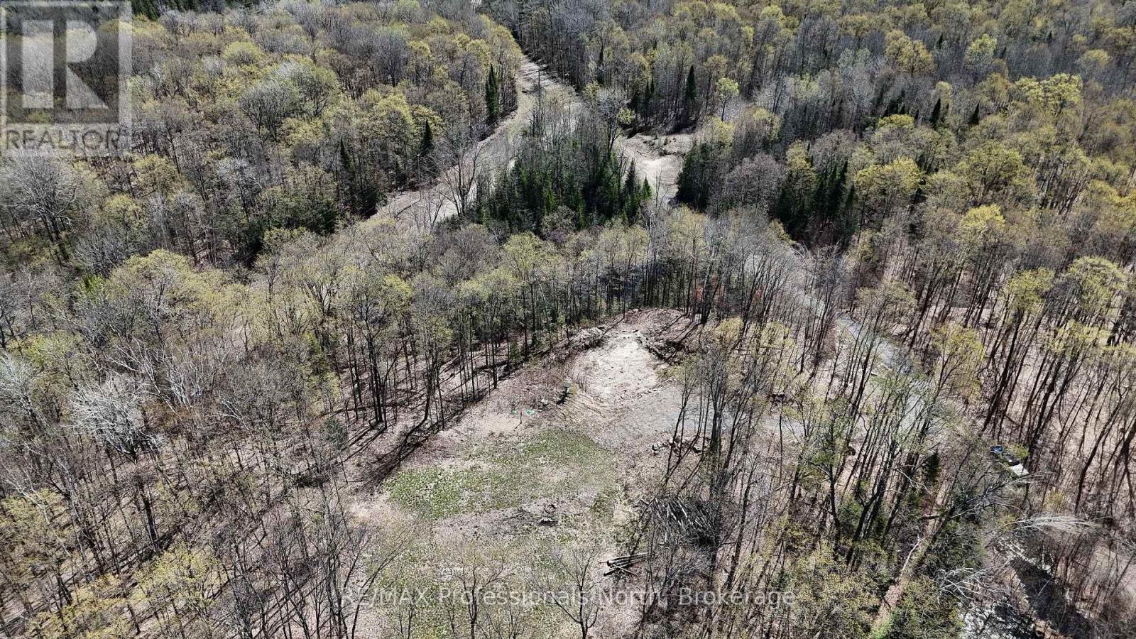 1199 Cedar Lake Road, Highlands East, Ontario  K0L 3C0 - Photo 11 - X13138876