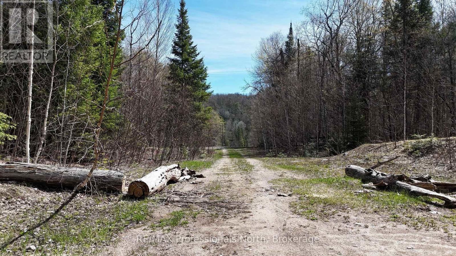 1199 Cedar Lake Road, Highlands East, Ontario  K0L 3C0 - Photo 14 - X13138876